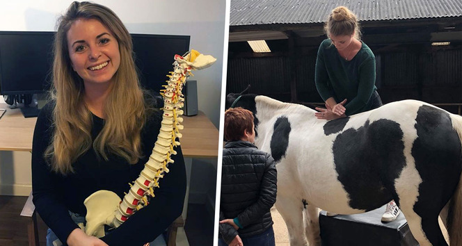 Caroline Strömdahl är färdig kiropraktor till sommaren. I framtiden vill hon bland annat jobba med djur och på bilden till höger behandlar hon en häst under utbildningen. 